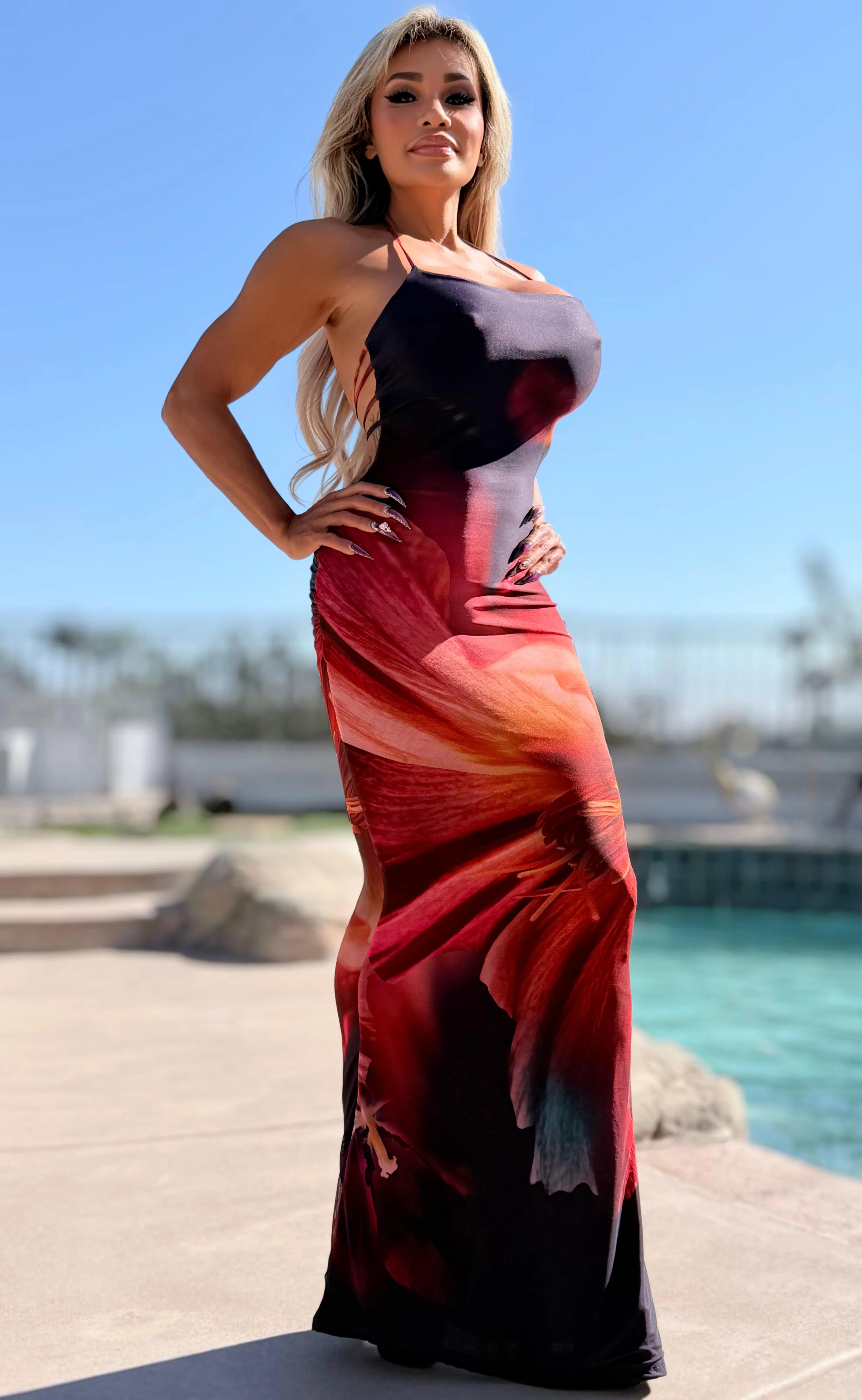 Connie's ***LIMITED*** "Sophisticated SEDONA DESERT SUNSET Maxi" Ruched Butt, STRETCH MESH, Open Back, Adjustable Halter tie - Image 8