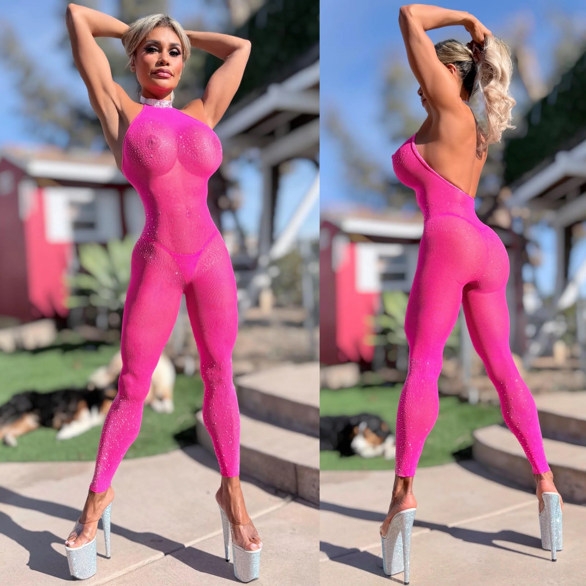 Connie's  "RHINESTONE ACCENT VIP 🥂CLUB Jumpsuit 🍸"  PINK DIAMONDS 🥂 Semi See Thru Fishnet, FULL STRETCH SPANDEX - Image 6
