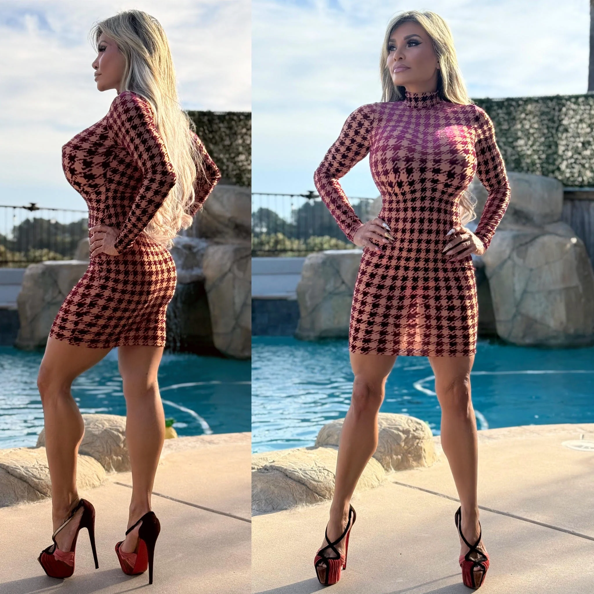 FINAL SALE Connie's "SEMIS SHEER WINE 🍷 Velvet Burnout MESH Mini" NOT LINED 🍷 FULL Stretch Fit, Mock Neck, No ZIPPERS - Image 2