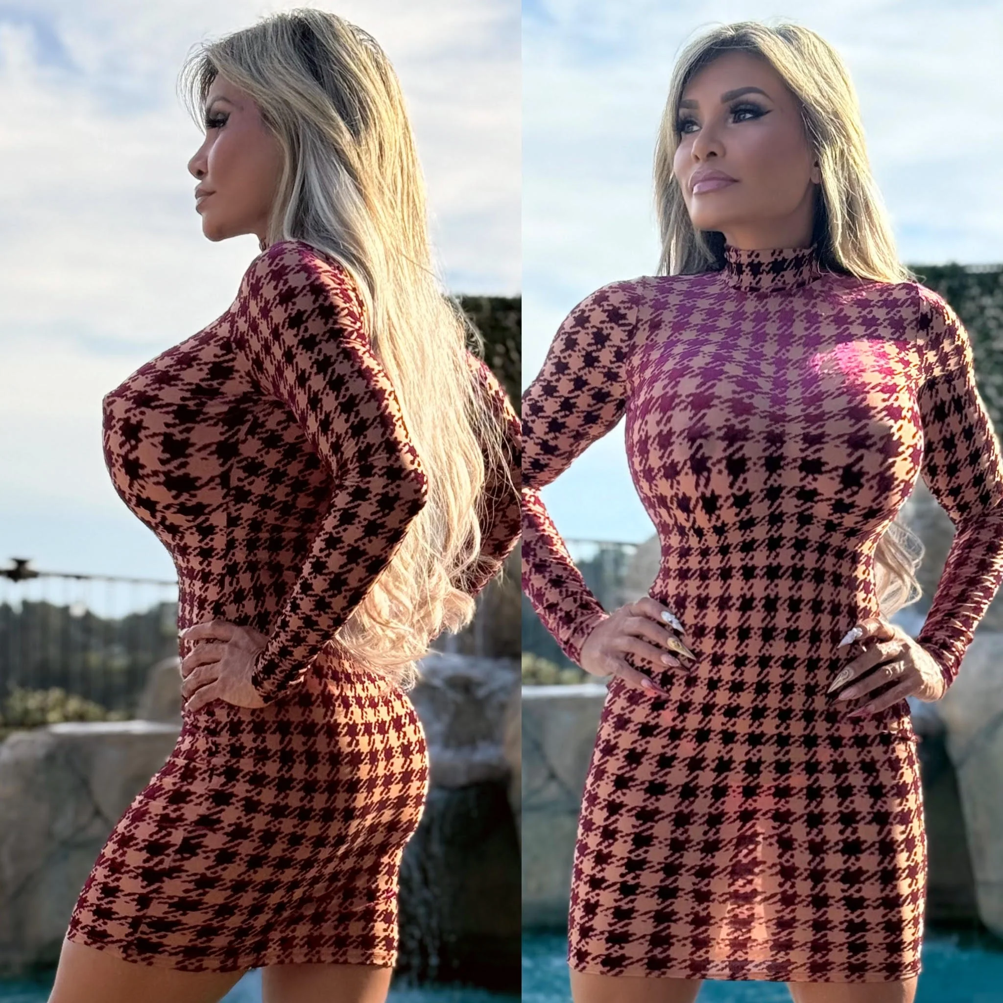 FINAL SALE Connie's "SEMIS SHEER WINE 🍷 Velvet Burnout MESH Mini" NOT LINED 🍷 FULL Stretch Fit, Mock Neck, No ZIPPERS - Image 3