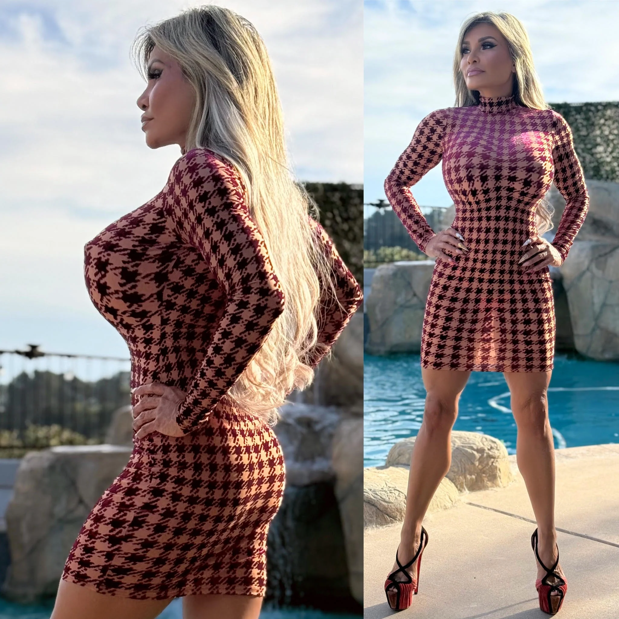 FINAL SALE Connie's "SEMIS SHEER WINE 🍷 Velvet Burnout MESH Mini" NOT LINED 🍷 FULL Stretch Fit, Mock Neck, No ZIPPERS - Image 4
